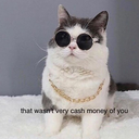 gay-ass-magic avatar