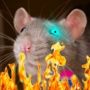 gay-fauncologist avatar