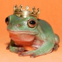 gay-froge avatar