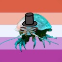 gay-little-isopod avatar