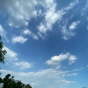 gay-mirrorball avatar