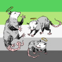 gay-possum avatar