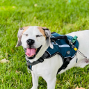 gay-waste-of-space avatar