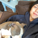 gayadventuress avatar