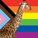 gayanimaloftheday avatar