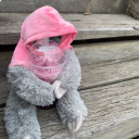 gayanimeobsessed avatar