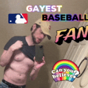 gaybaseball-fan avatar