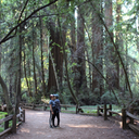 gayconceptposts avatar