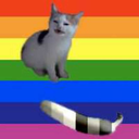 gaycultureisgay-blog avatar