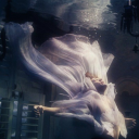 gayerthanyourmom avatar