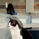 gayesizduvarlar avatar