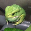 gayfrogprince avatar