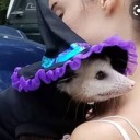 gaygothgremlin avatar