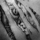 gayinsightlove avatar