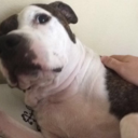 gayjewel-blog avatar