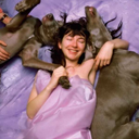 gaykatebush avatar