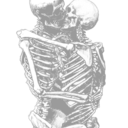 gaylemonshark avatar