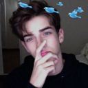 gaymp4 avatar