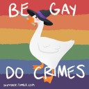 gaynonbinarygoose avatar