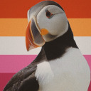 gayparrot avatar