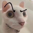 gaypeoplelore avatar