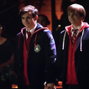 gays-panicking avatar