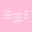 gayshitstraightshit avatar