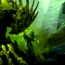 gaytrees-blog avatar