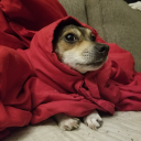 gayxpridexwrath avatar