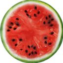 gaza-fundraisers avatar