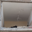 gazamahamahmoud avatar