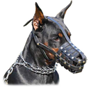 gazehound avatar