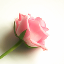 gazing-at-stars avatar