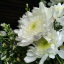 gazingstarsabove avatar