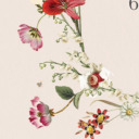 gbweddingweek avatar