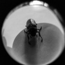 gcomeandgetit avatar