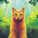 gcwarriorcats avatar