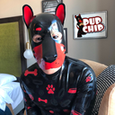 gearmutt avatar