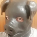gearpigboi avatar