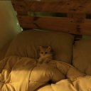 gecedekaybolanumutlar avatar