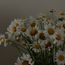 gecenin-karanligi-21 avatar