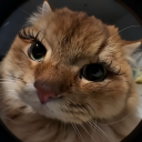 geceninbaligi avatar