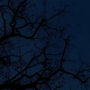 geceolursuzerkenden avatar