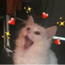 gecirehianyzol21 avatar