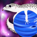 geckogalaxy avatar