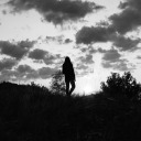 gedanken-wo-anders avatar