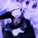 gedanklicher-wirbelsturm-blog avatar