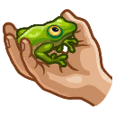 geekfrogs avatar