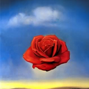 gegendiewand-blog avatar