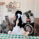 geladeriteduhsite avatar